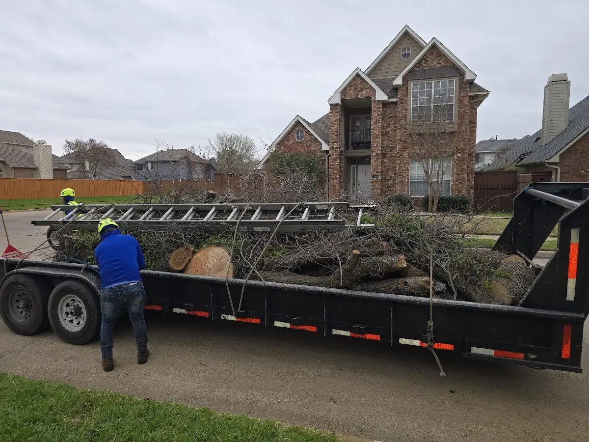 Expert Tree Fertilization with proper safety equipment in Rose